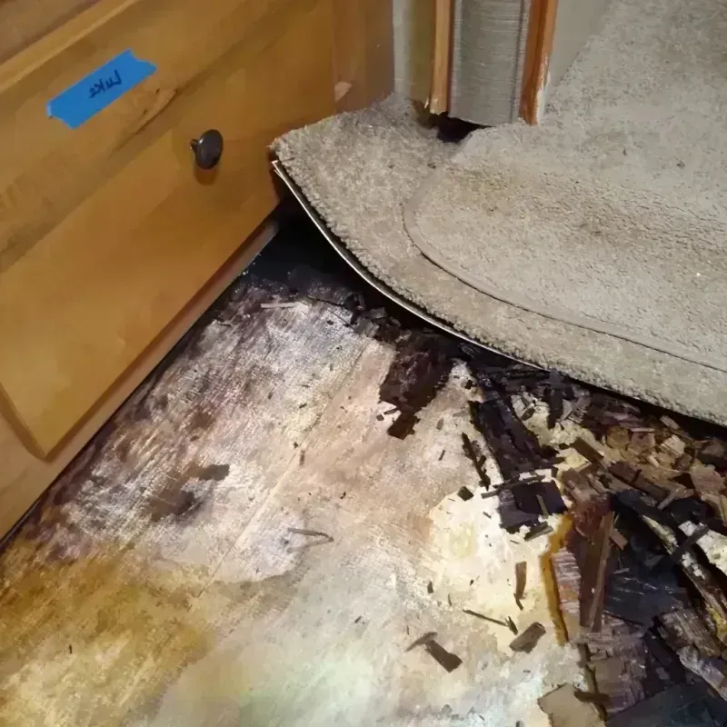 Best Wood Floor Water Damage Service in Pikeville, KY